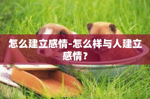 怎么建立感情-怎么樣與人建立感情？