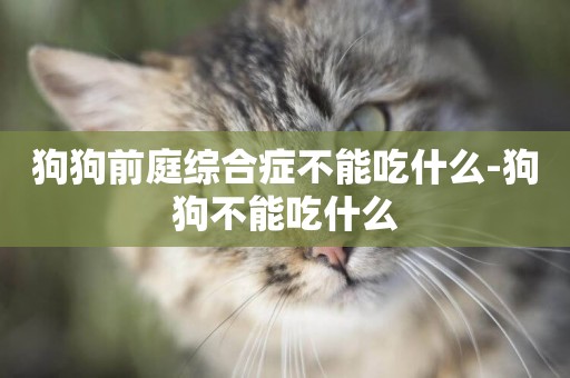 狗狗前庭綜合癥不能吃什么-狗狗不能吃什么