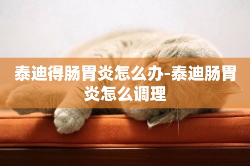 泰迪得腸胃炎怎么辦-泰迪腸胃炎怎么調理