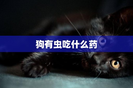 狗有蟲吃什么藥