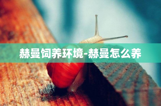 赫曼飼養環境-赫曼怎么養