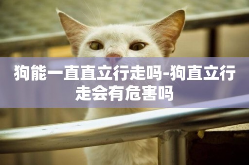 狗能一直直立行走嗎-狗直立行走會有危害嗎