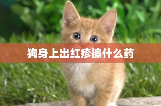 狗身上出紅疹擦什么藥