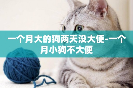 一個月大的狗兩天沒大便-一個月小狗不大便