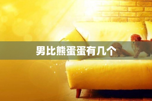 男比熊蛋蛋有幾個
