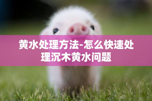 黃水處理方法-怎么快速處理沉木黃水問題