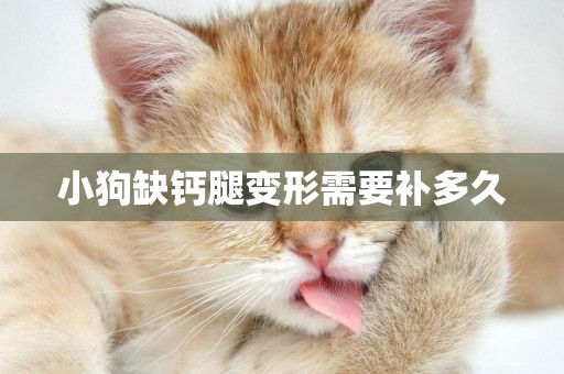 小狗缺鈣腿變形需要補多久