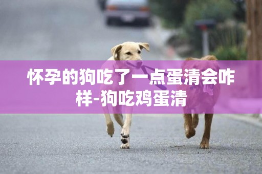 懷孕的狗吃了一點蛋清會咋樣-狗吃雞蛋清