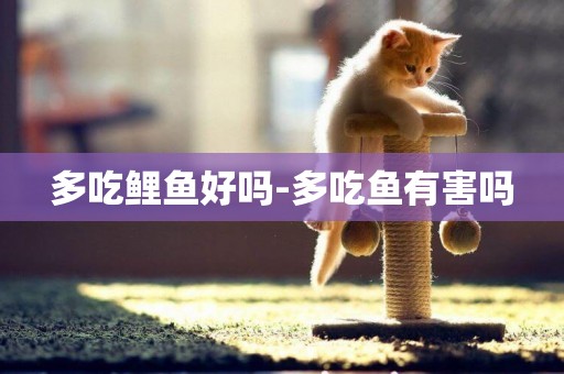 多吃鯉魚好嗎-多吃魚有害嗎