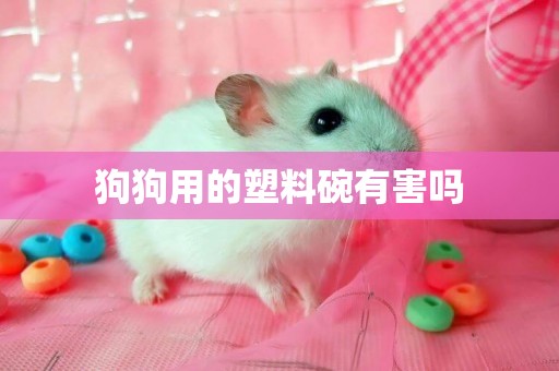 狗狗用的塑料碗有害嗎