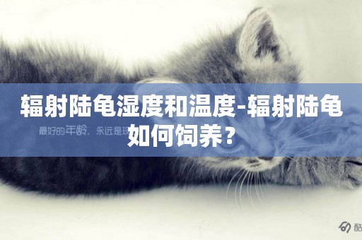 輻射陸龜濕度和溫度-輻射陸龜如何飼養？