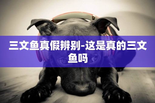 三文魚真假辨別-這是真的三文魚嗎