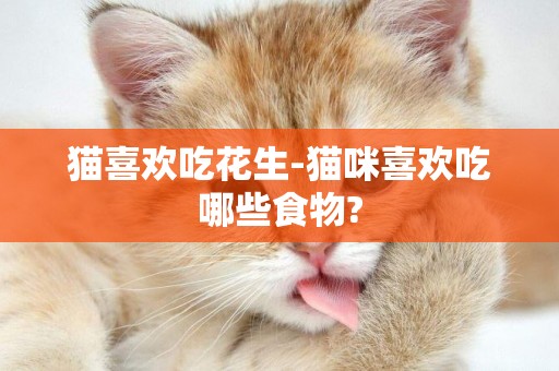 貓喜歡吃花生-貓咪喜歡吃哪些食物?