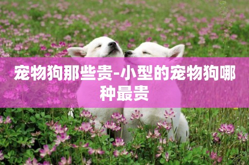 寵物狗那些貴-小型的寵物狗哪種最貴