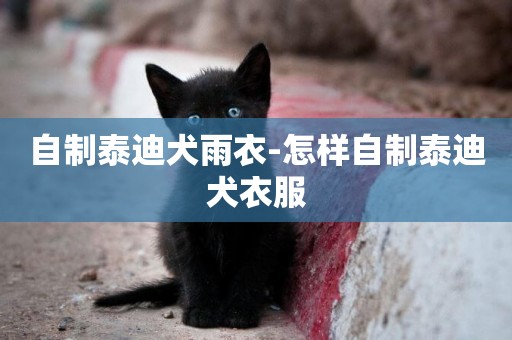 自制泰迪犬雨衣-怎樣自制泰迪犬衣服