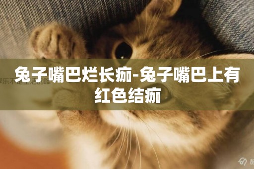 兔子嘴巴爛長痂-兔子嘴巴上有紅色結痂