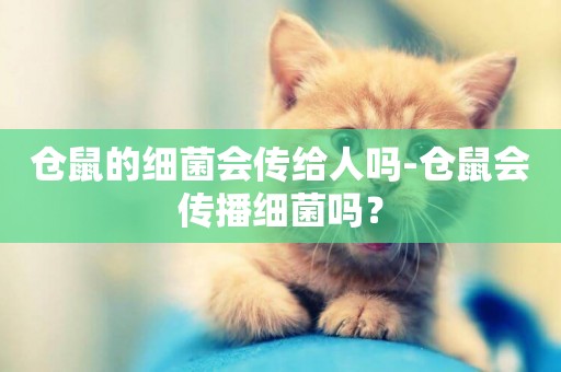 倉鼠的細菌會傳給人嗎-倉鼠會傳播細菌嗎？