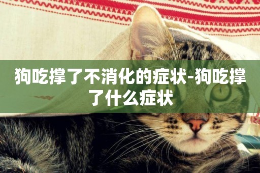 狗吃撐了不消化的癥狀-狗吃撐了什么癥狀