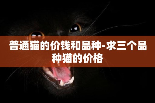 普通貓的價錢和品種-求三個品種貓的價格