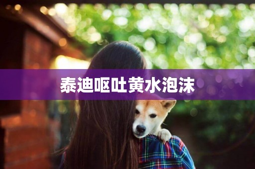 泰迪嘔吐黃水泡沫