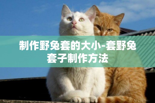 制作野兔套的大小-套野兔套子制作方法