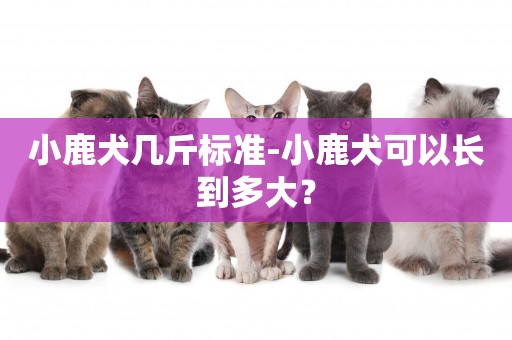 小鹿犬幾斤標準-小鹿犬可以長到多大？