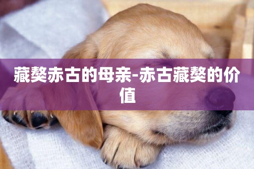 藏獒赤古的母親-赤古藏獒的價值