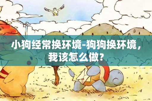 小狗經常換環境-狗狗換環境，我該怎么做？