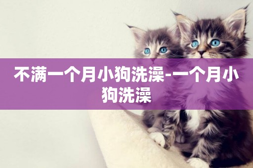 不滿一個月小狗洗澡-一個月小狗洗澡