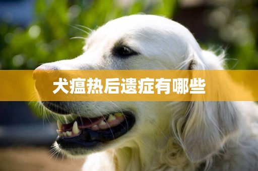 犬瘟熱后遺癥有哪些