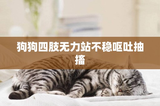 狗狗四肢無力站不穩嘔吐抽搐
