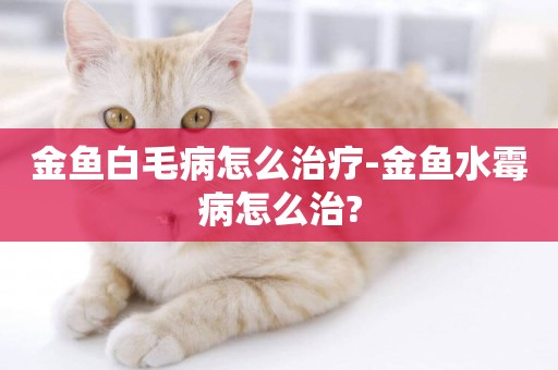 金魚白毛病怎么治療-金魚水霉病怎么治?