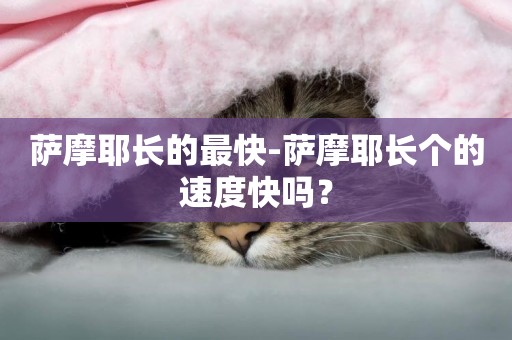 薩摩耶長的最快-薩摩耶長個的速度快嗎？