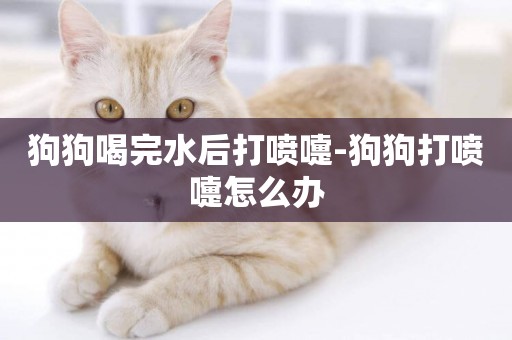 狗狗喝完水后打噴嚏-狗狗打噴嚏怎么辦