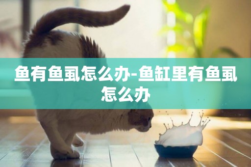 魚有魚虱怎么辦-魚缸里有魚虱怎么辦