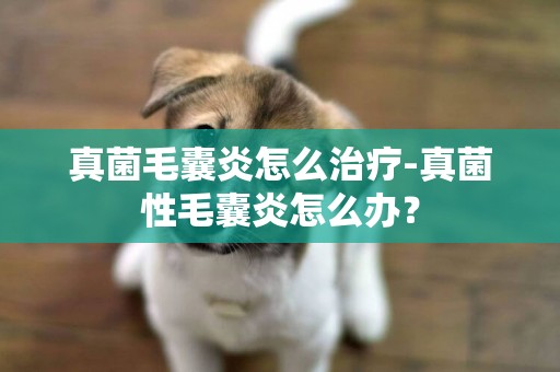 真菌毛囊炎怎么治療-真菌性毛囊炎怎么辦？