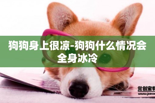 狗狗身上很涼-狗狗什么情況會全身冰冷