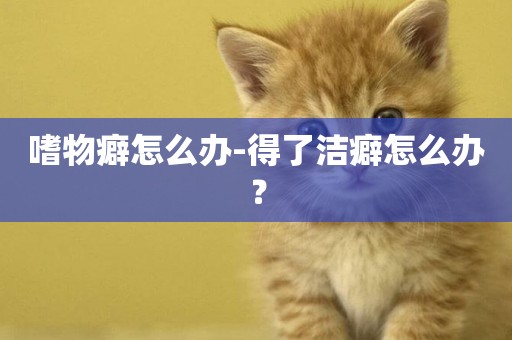 嗜物癖怎么辦-得了潔癖怎么辦？