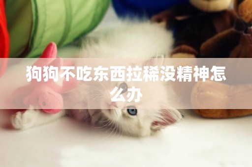 狗狗不吃東西拉稀沒精神怎么辦