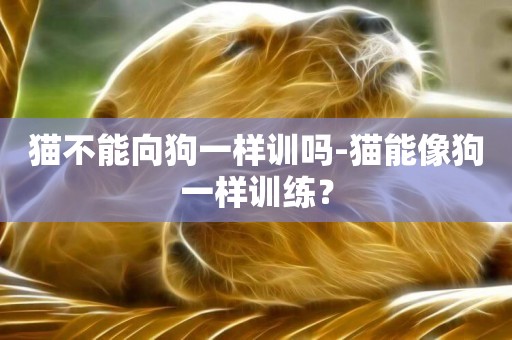 貓不能向狗一樣訓嗎-貓能像狗一樣訓練？