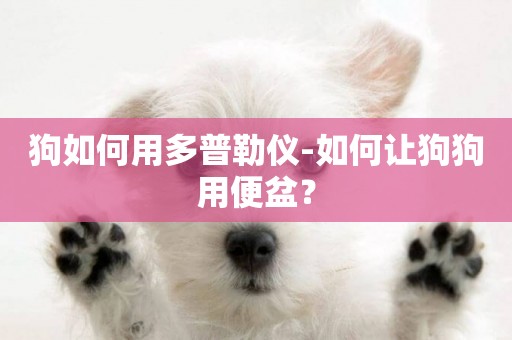 狗如何用多普勒儀-如何讓狗狗用便盆？