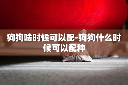狗狗啥時候可以配-狗狗什么時候可以配種