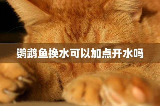 鸚鵡魚換水可以加點開水嗎