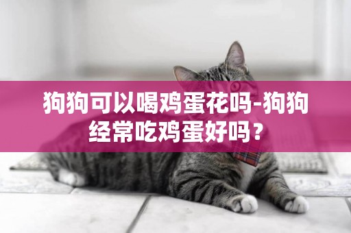 狗狗可以喝雞蛋花嗎-狗狗經常吃雞蛋好嗎？