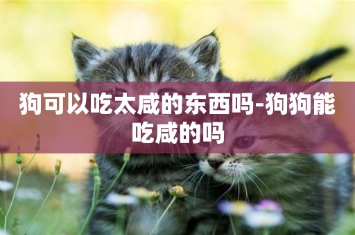 狗可以吃太咸的東西嗎-狗狗能吃咸的嗎