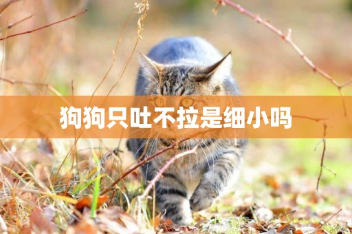 狗狗只吐不拉是細小嗎