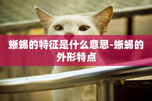 蜥蜴的特征是什么意思-蜥蜴的外形特點