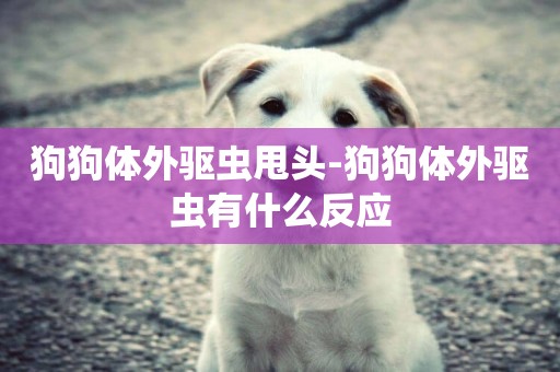 狗狗體外驅蟲甩頭-狗狗體外驅蟲有什么反應
