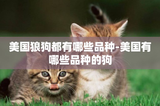 美國狼狗都有哪些品種-美國有哪些品種的狗