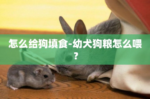 怎么給狗填食-幼犬狗糧怎么喂？